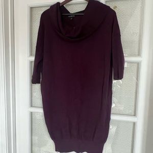 Express Sweater Dress with Cowl Neck